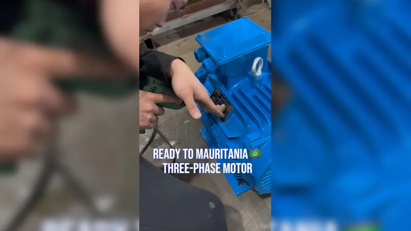 Heavy-Duty Electric Motors Ready to Mauritania!